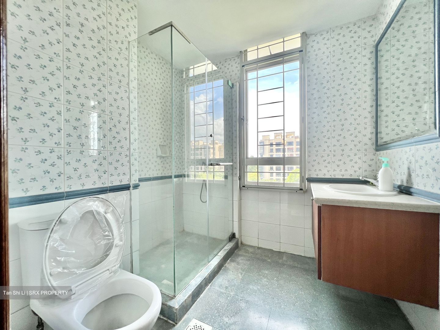 The Blossomvale (D21), Condominium #438821821